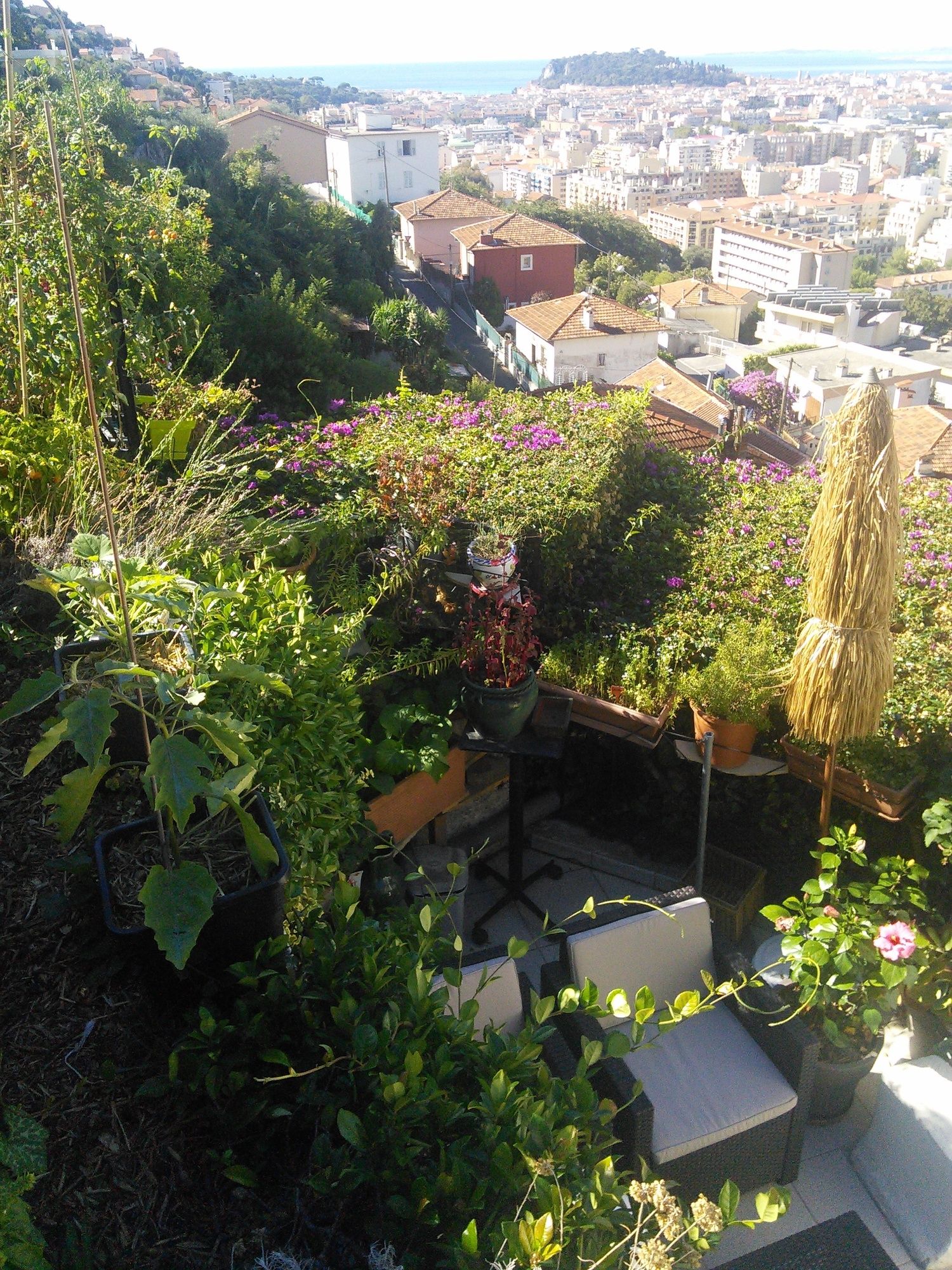 Фото Le Panoramic Boutique