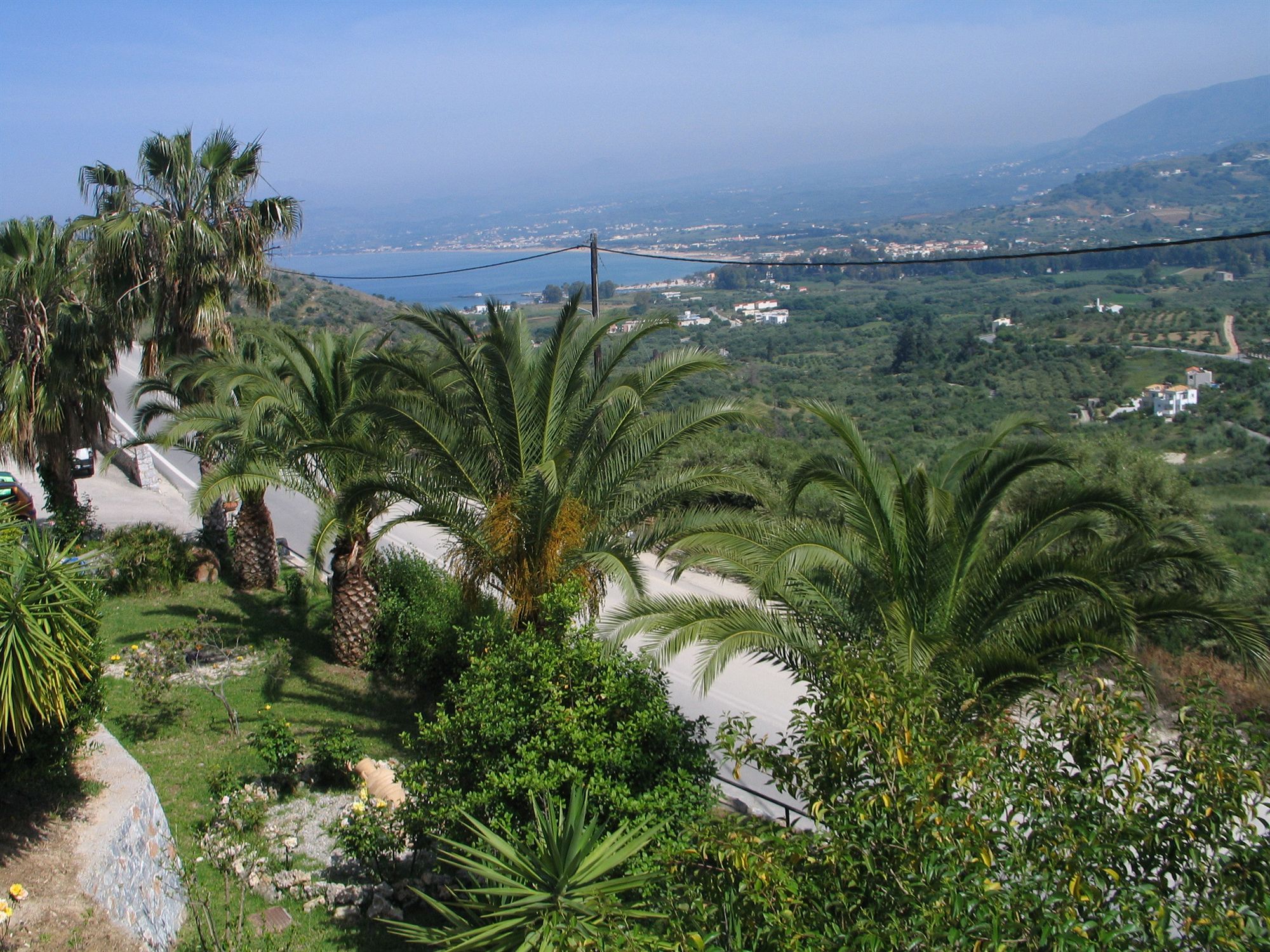 Фото Alkion