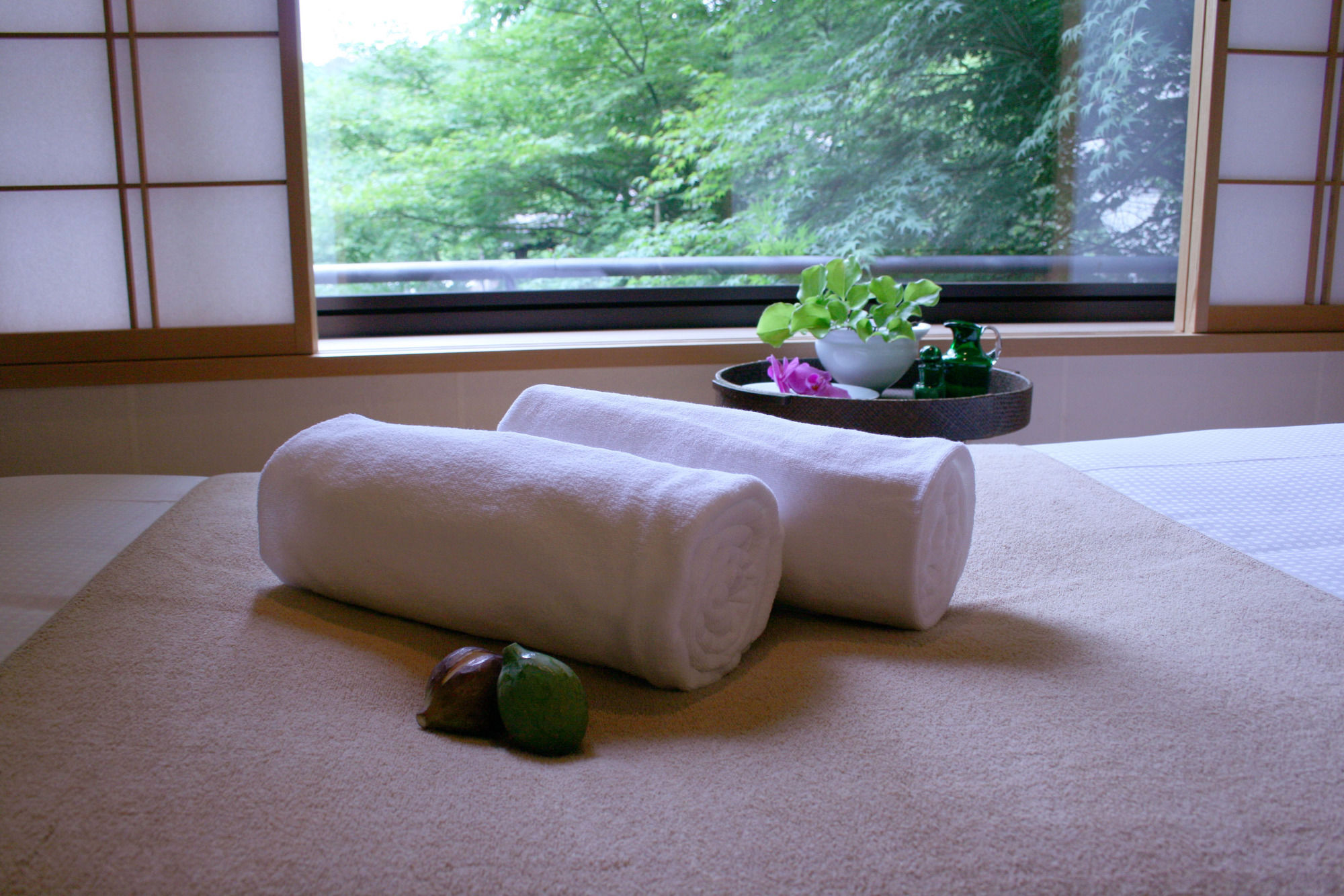 Фото Ryokan Sumiya Kihoan