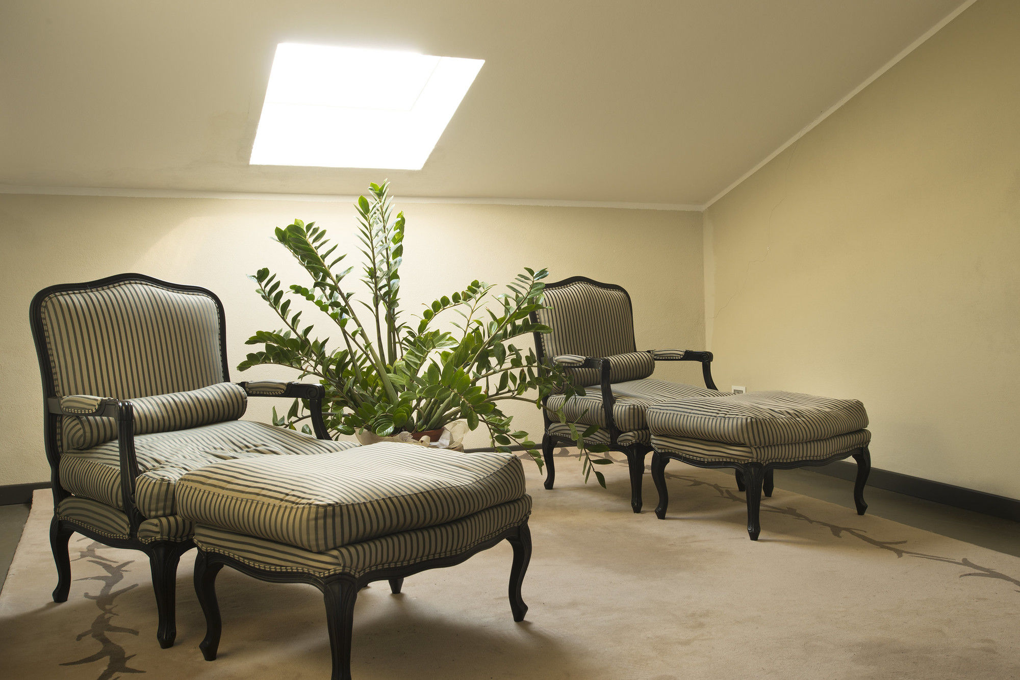 Фото Villa Mosca