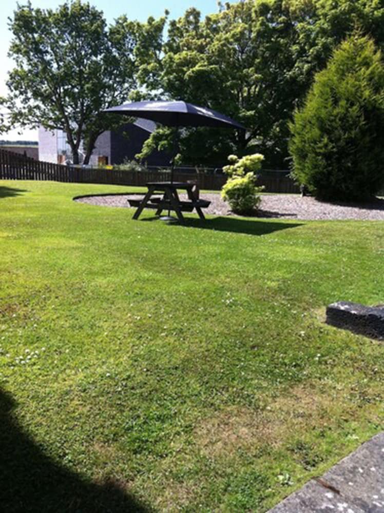 Фото King Robert Hotel