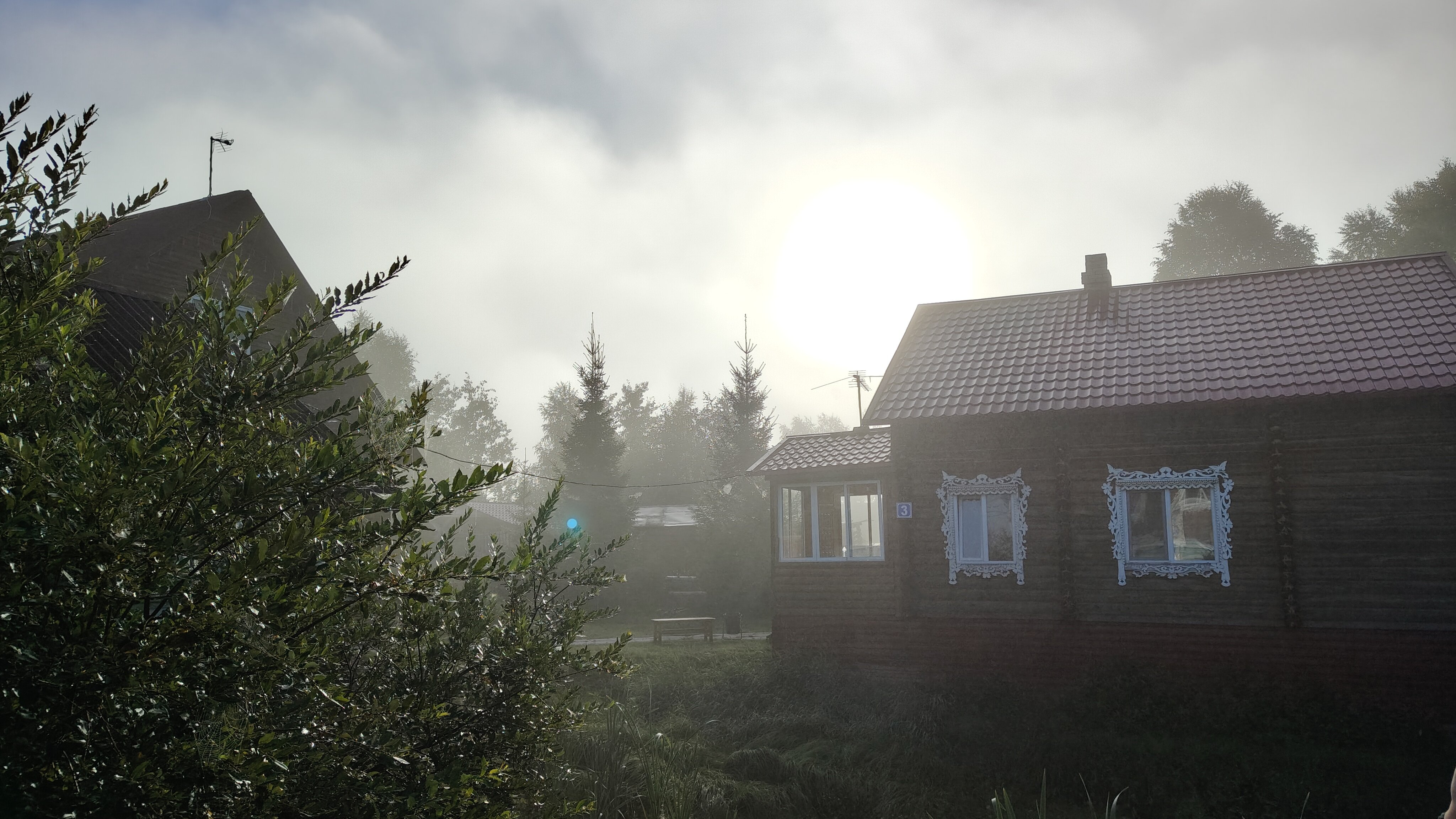 Фото Алёнушка