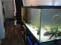 Фото Heavenly Nights Guest House