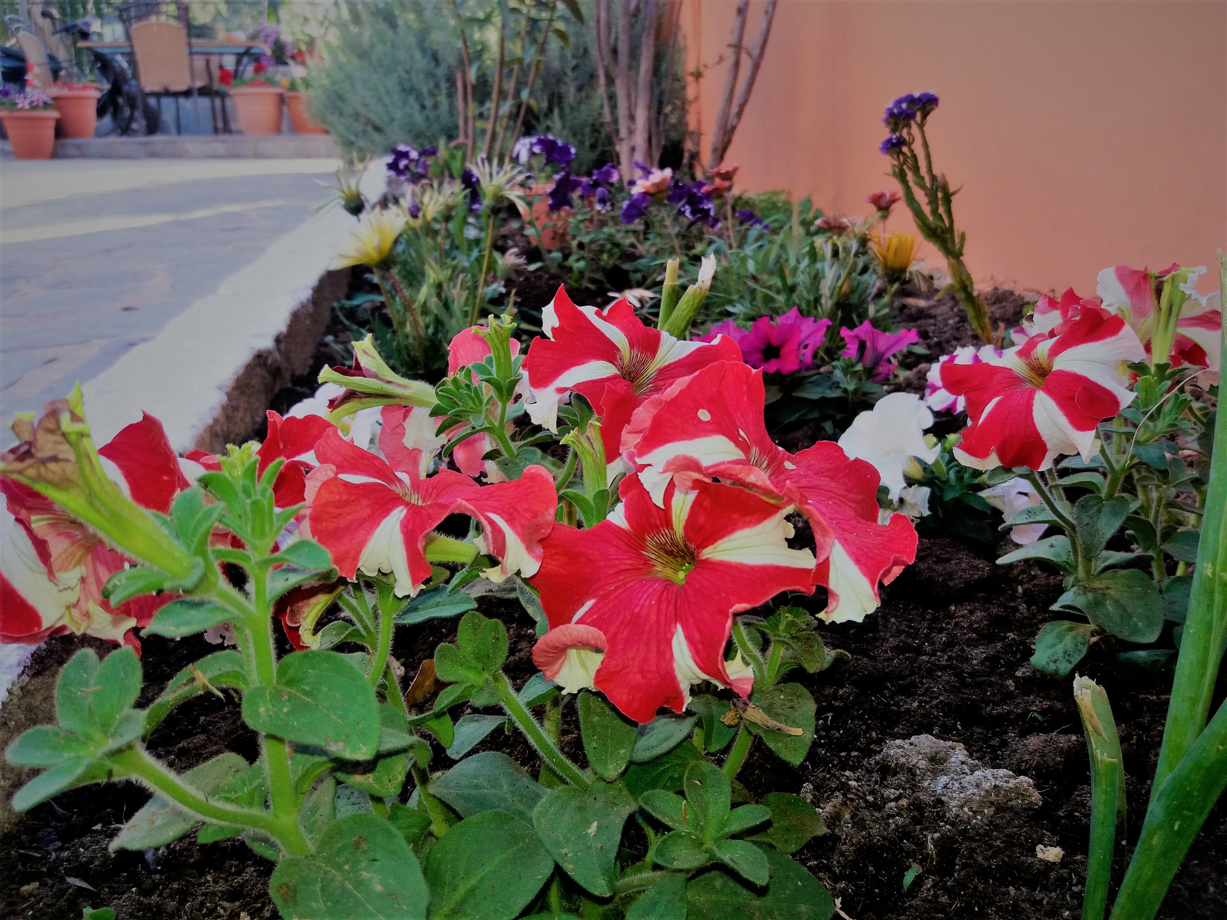 Фото Ziogas Apartments