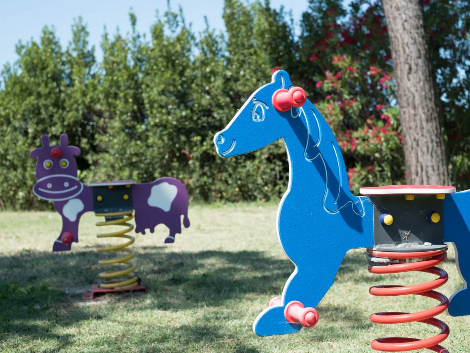 Фото Fattoria San Lorenzo - Apartments