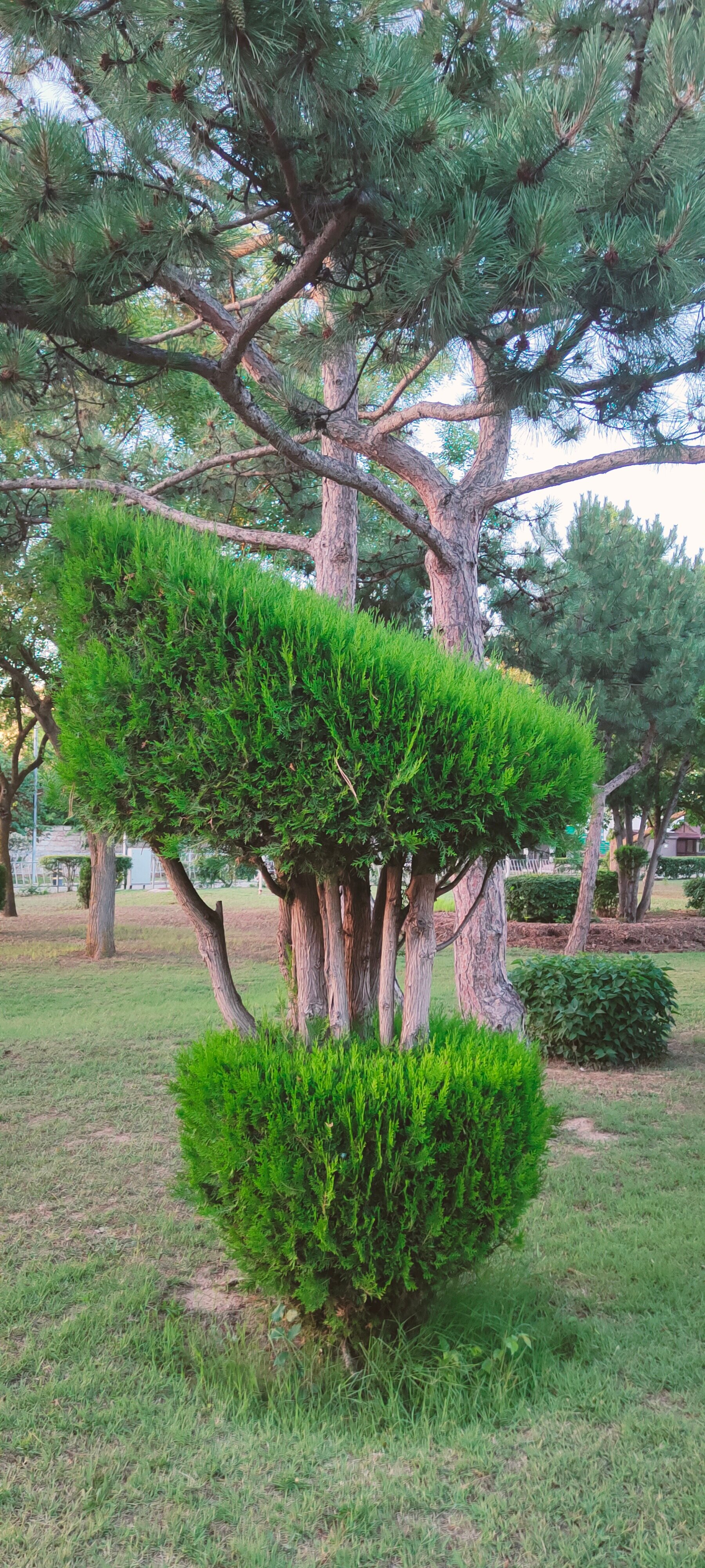 Фото Приморье