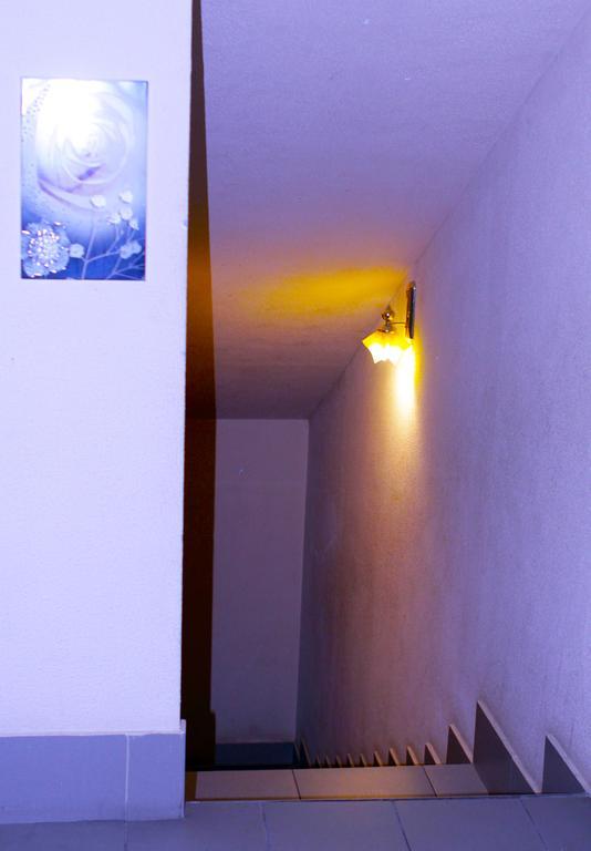 Фото Носовиха