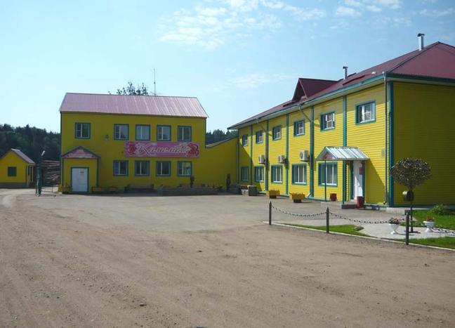 Фото Камелия