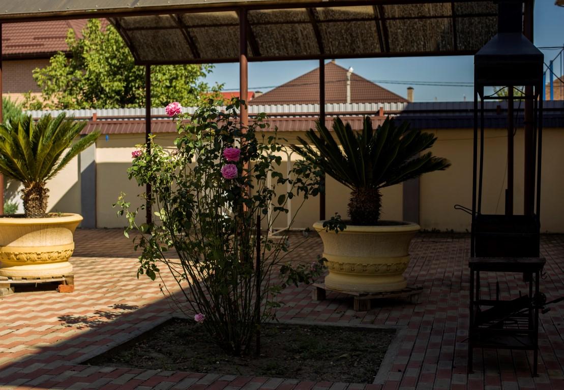 Фото Надежда 1