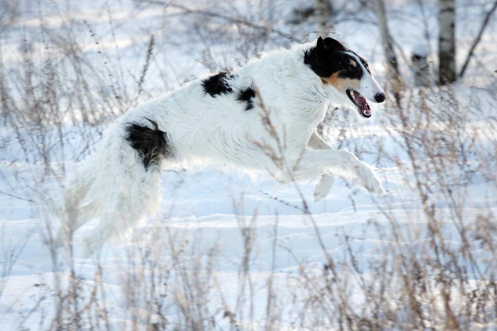 Фото НиКиТа