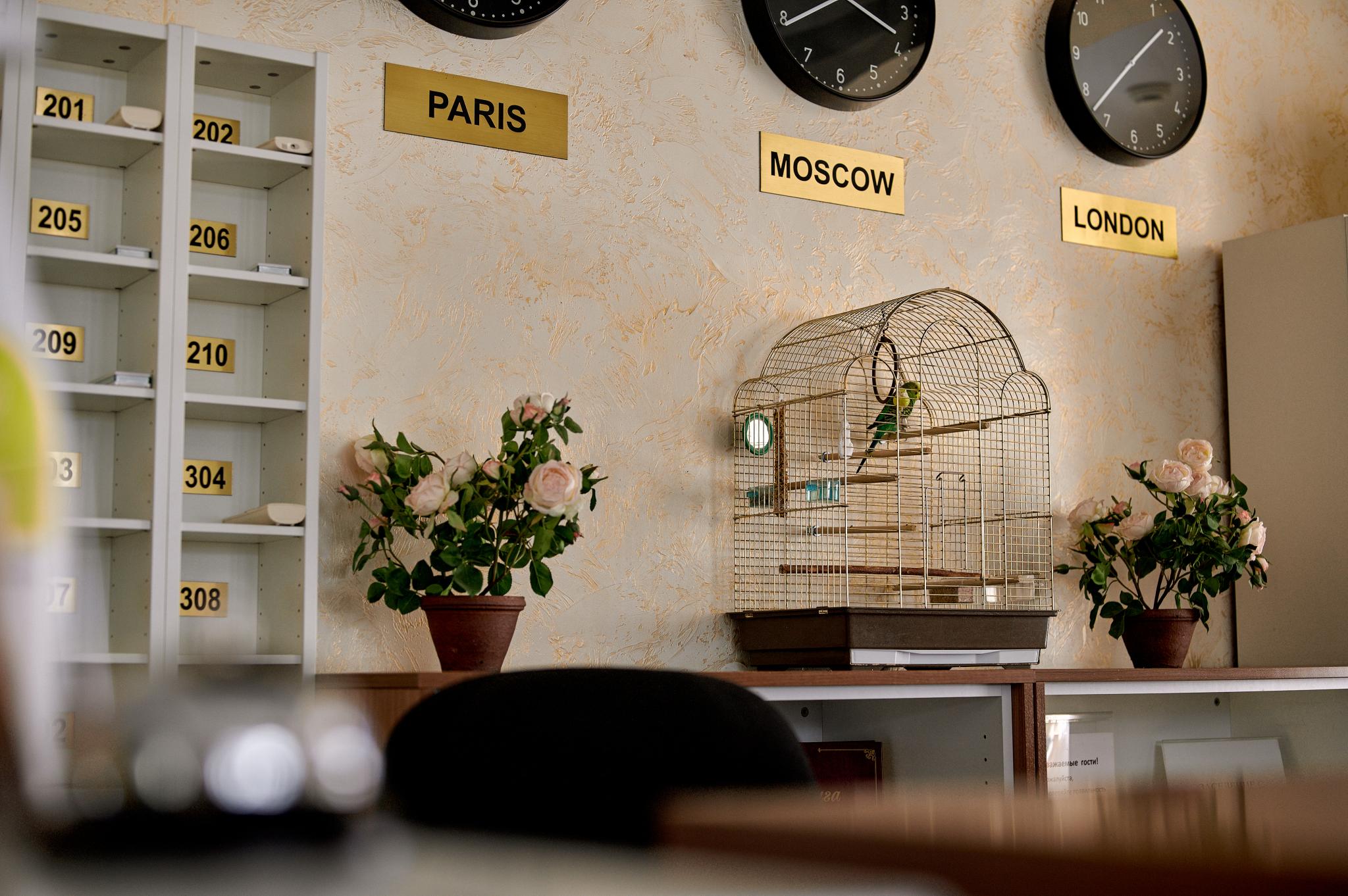 Фото Гранд Тамбов