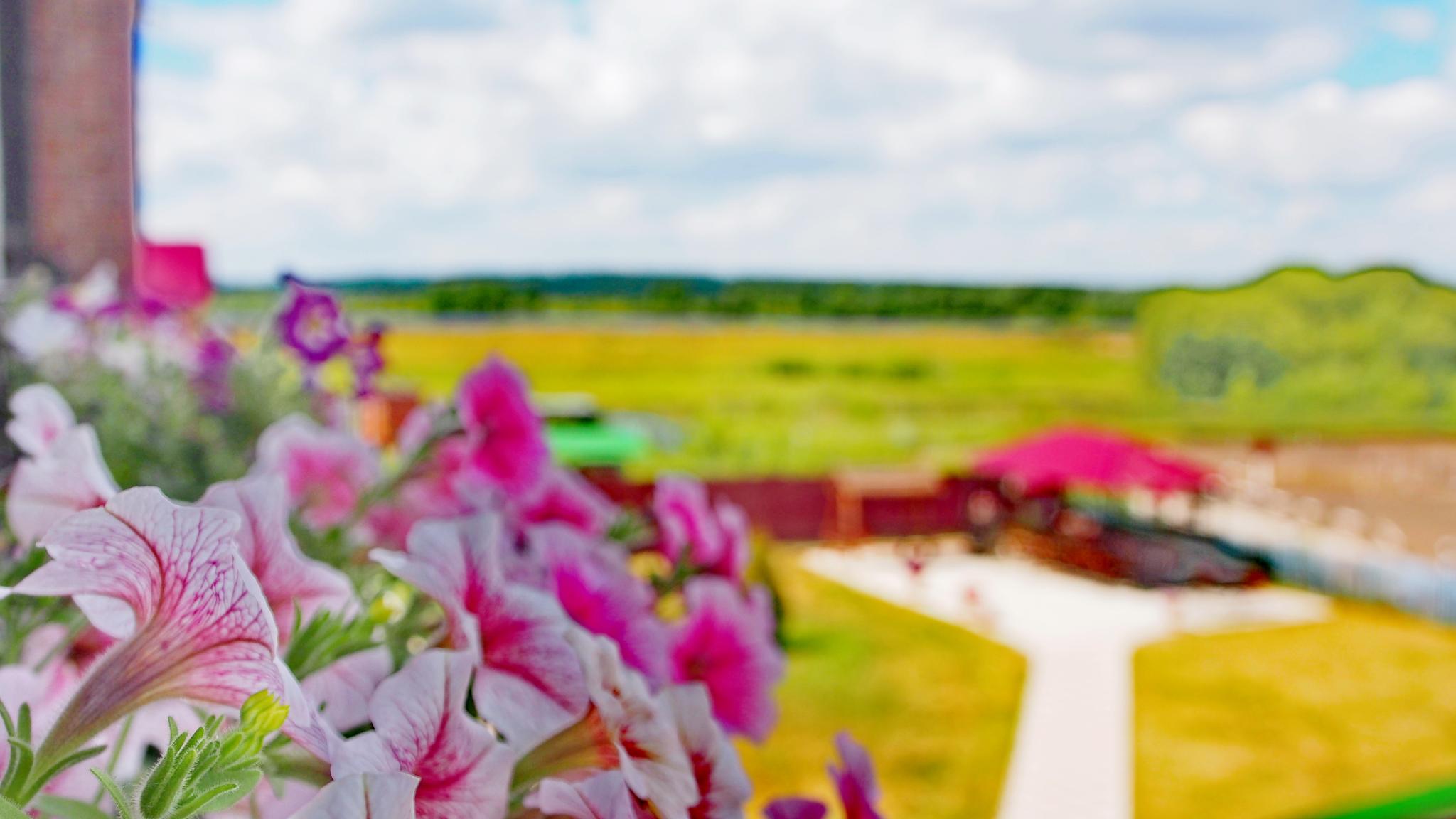 Фото Купеческая