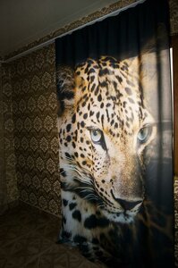 Гостиница Диамонд