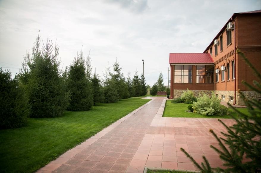 Фото Дружба