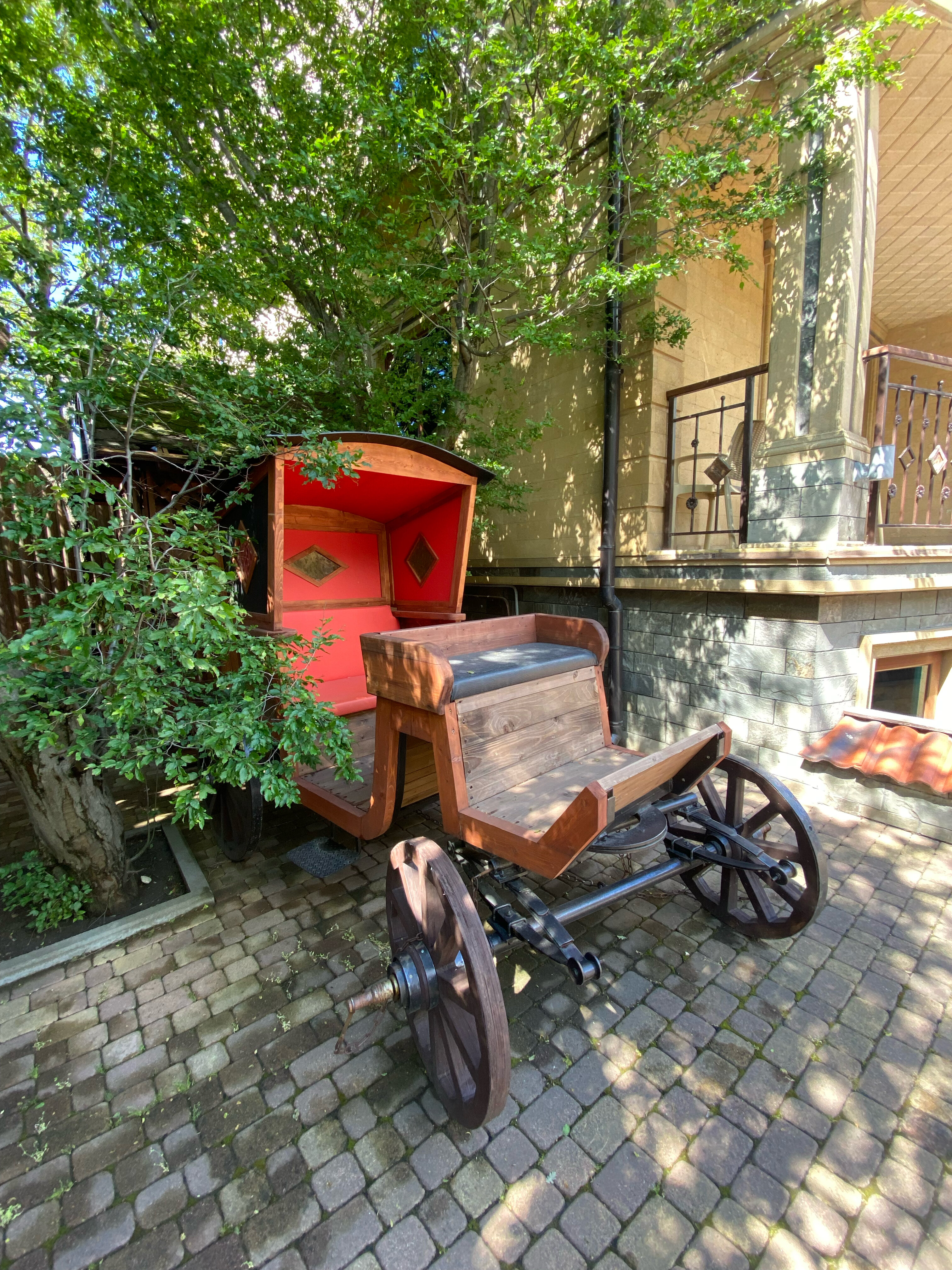 Фото Жар-птица