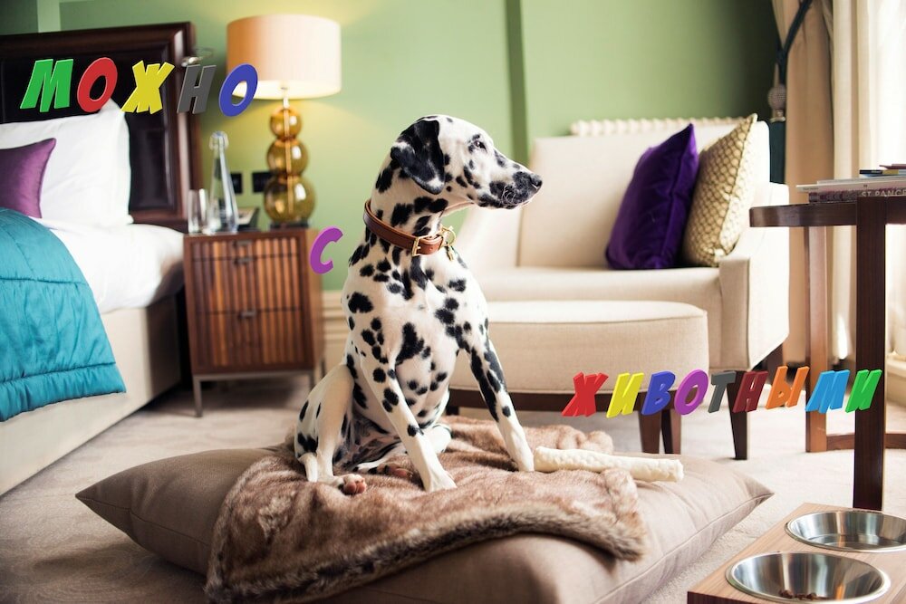 Фото Караван