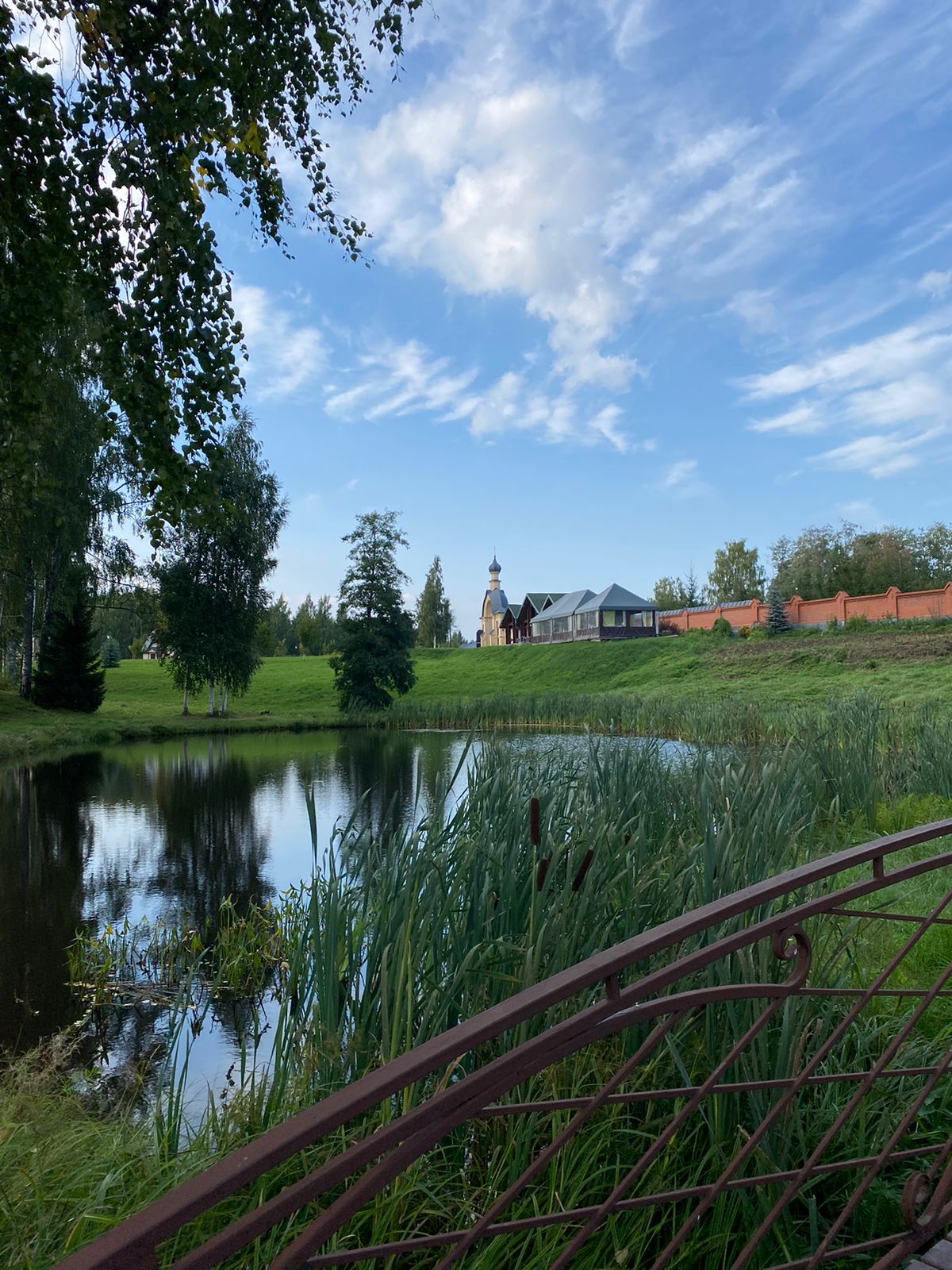 Фото Вереск