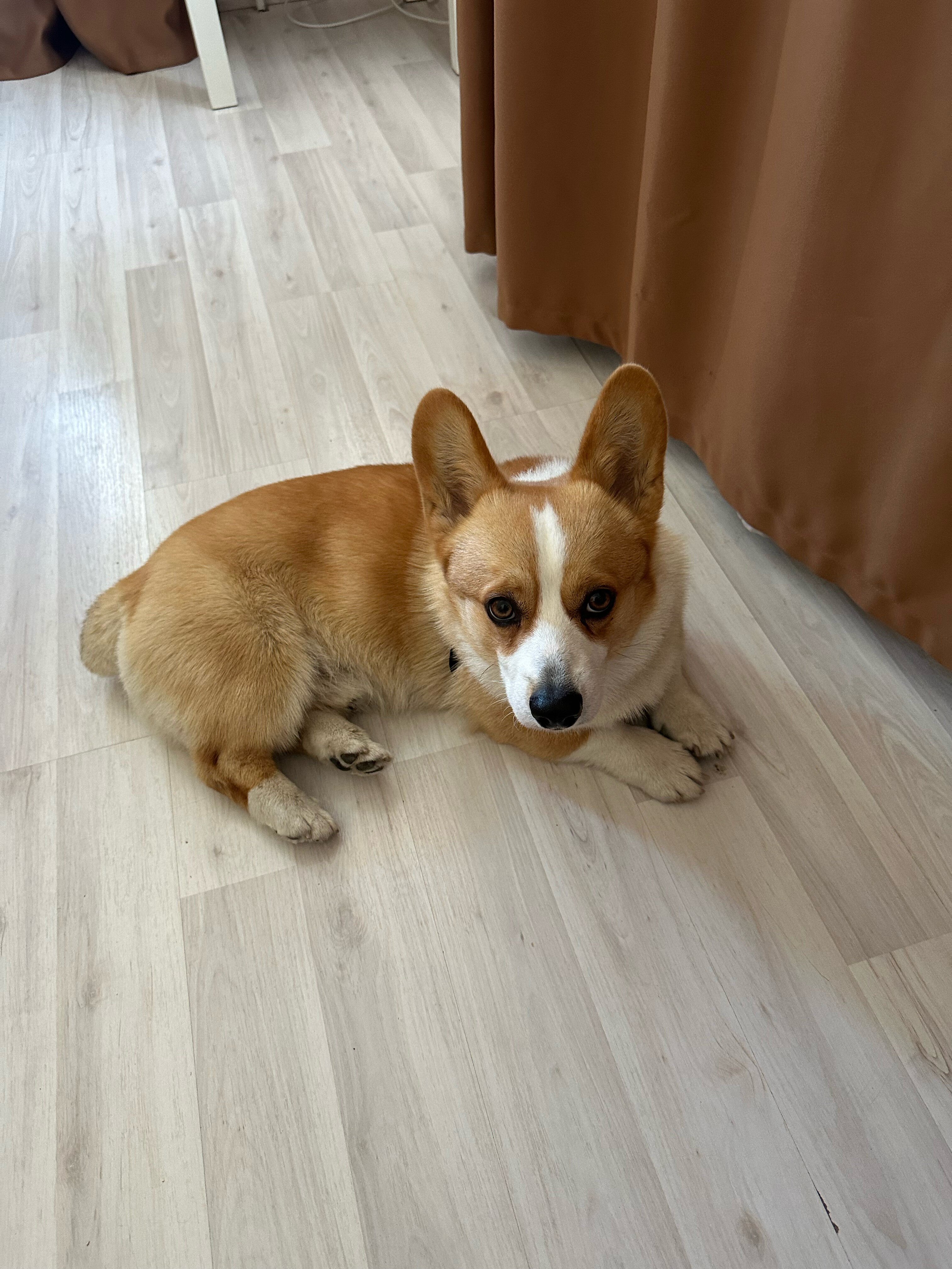 Фото Причал