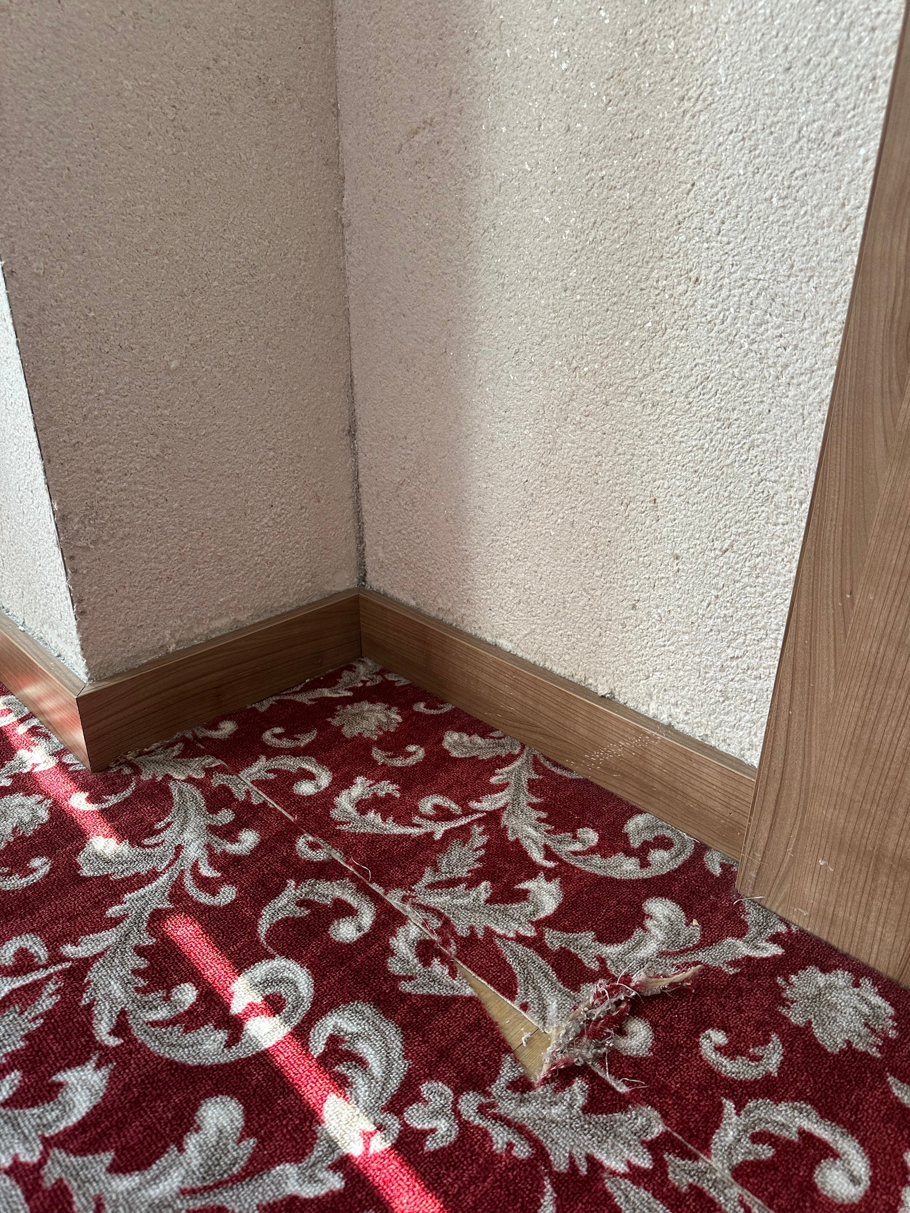 Фото Euphoria Hotel Batumi