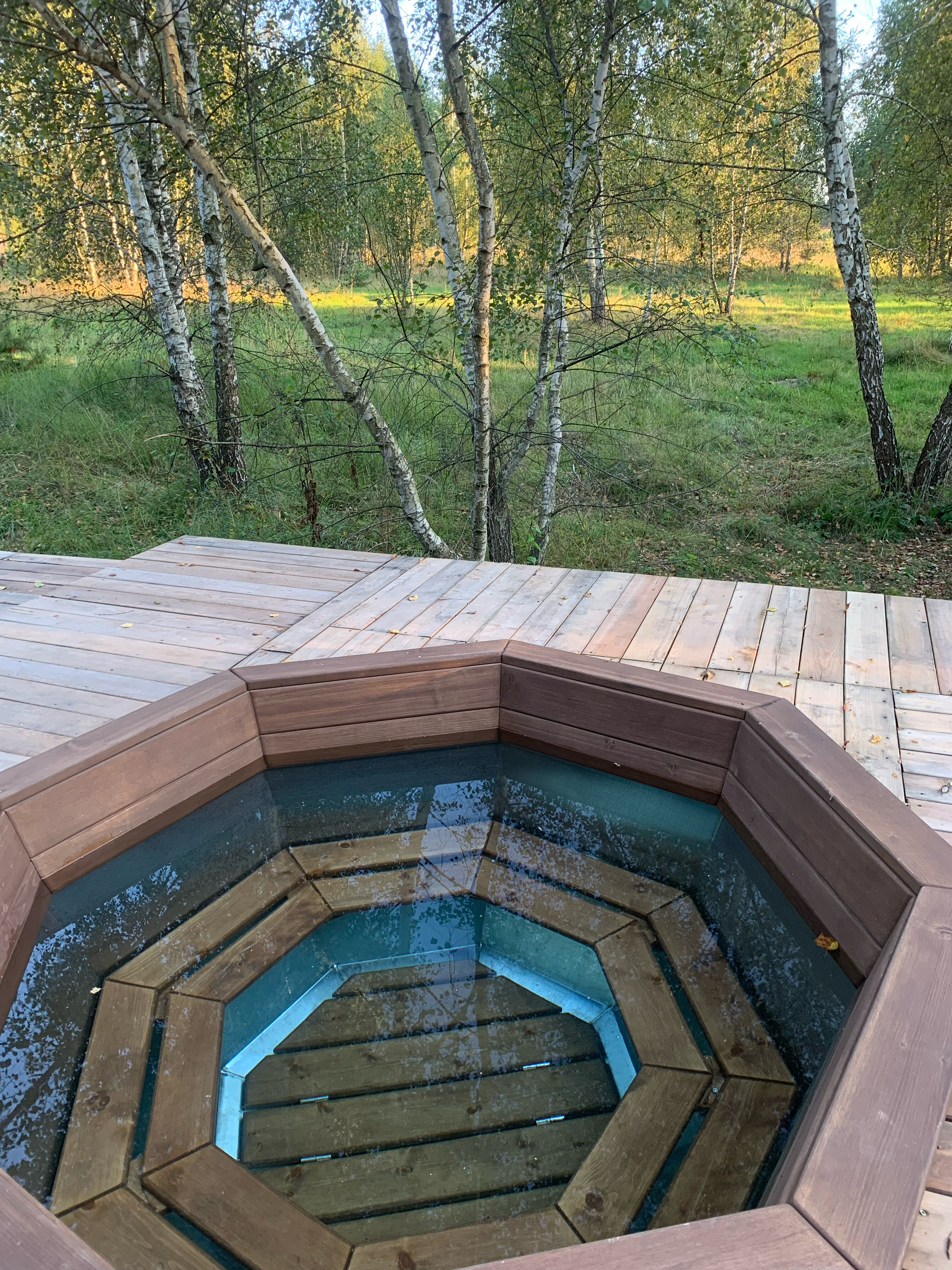 Фото Козы да Березы