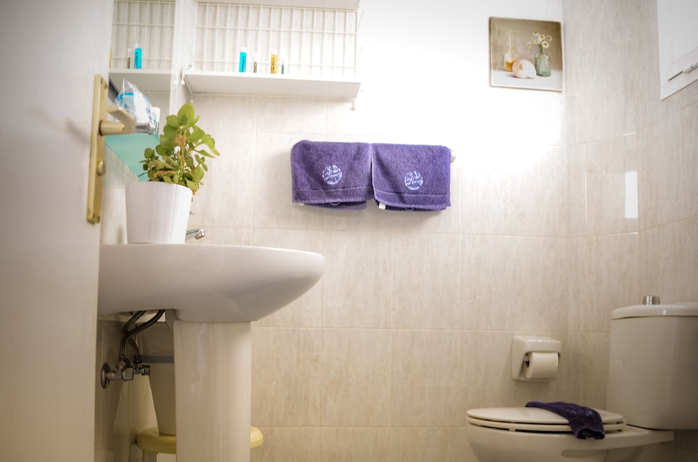 Фото Calypso Oasis