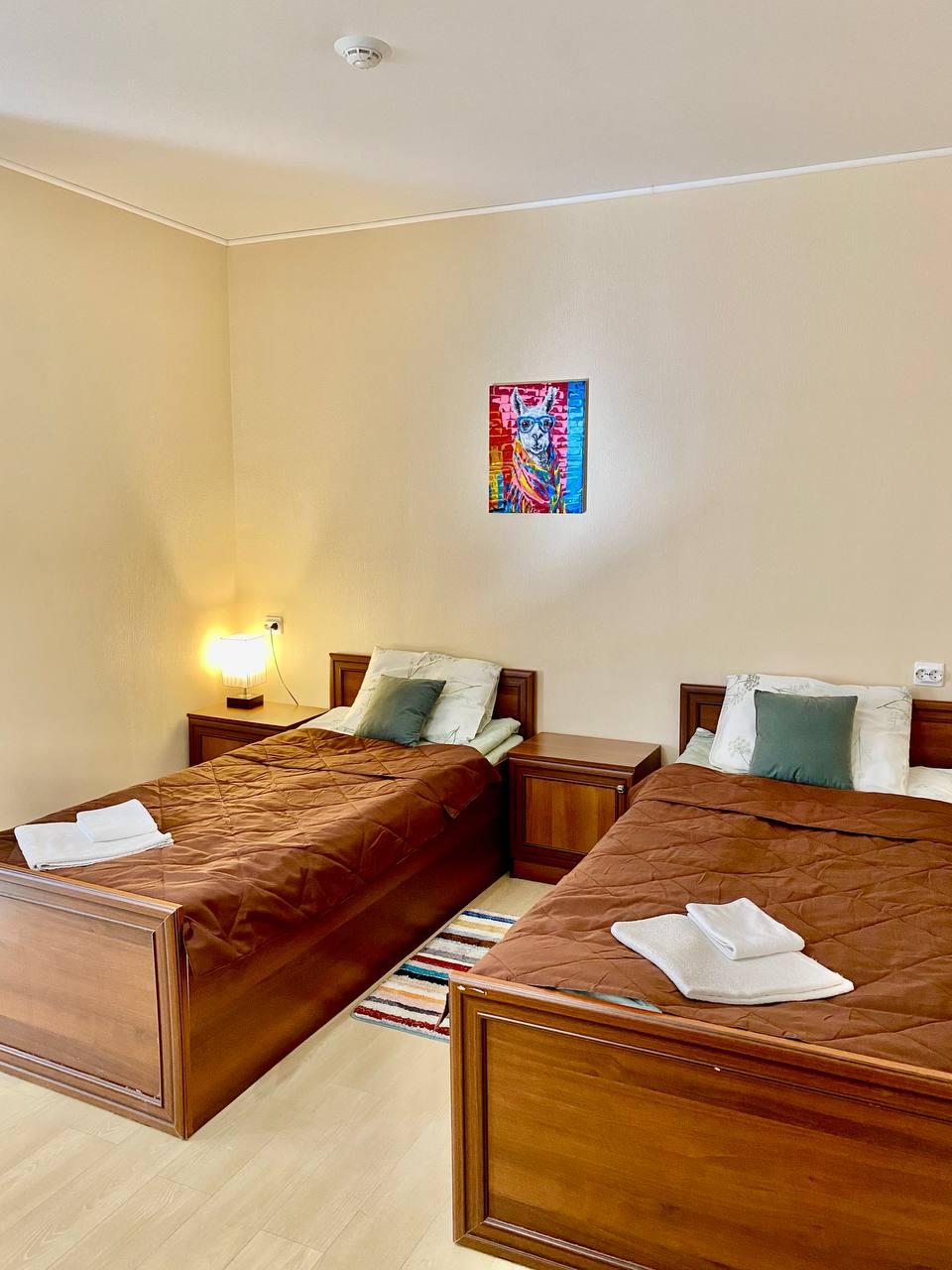 Фото Медведь