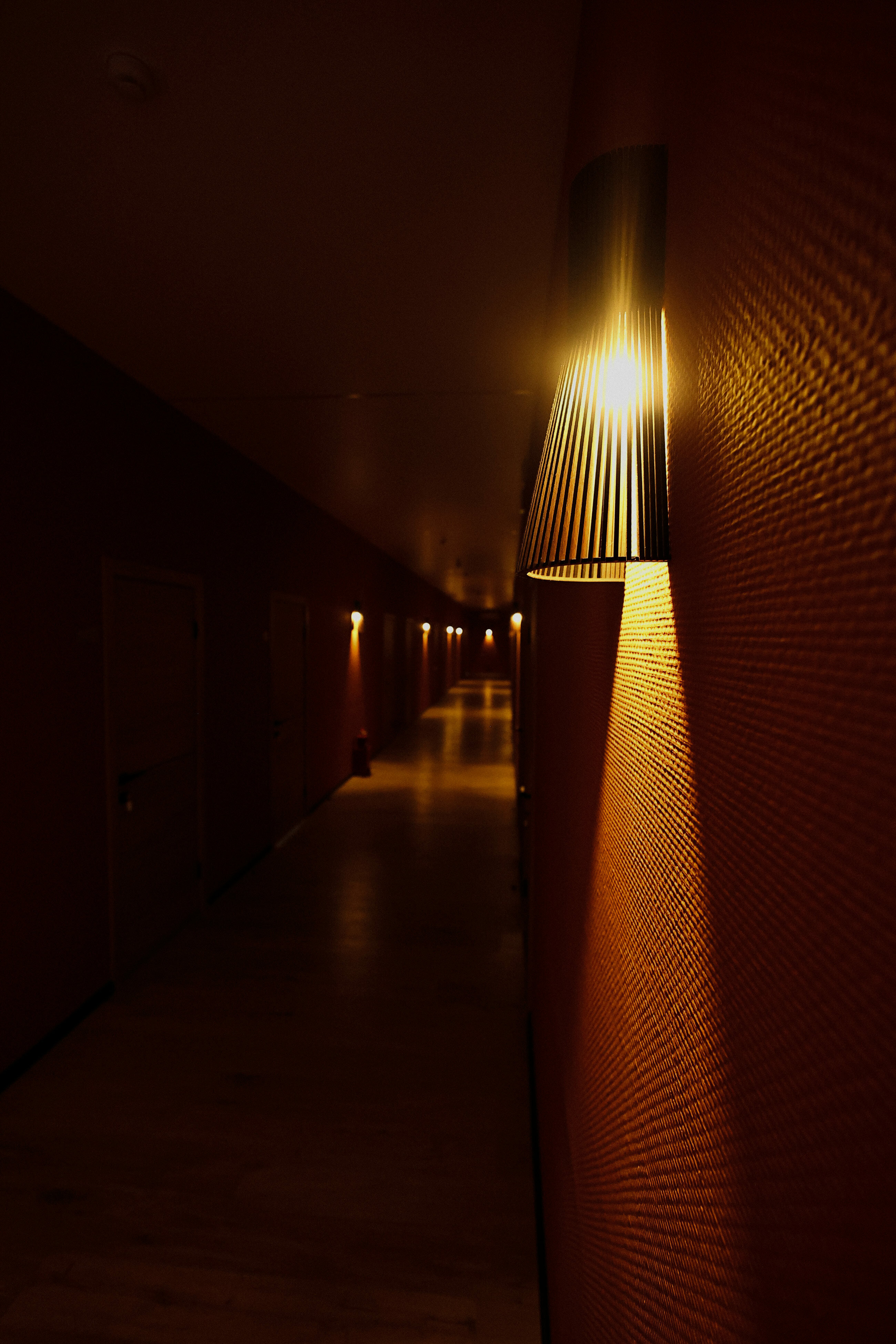 Фото Голден Норрис