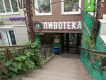 Cat & clover (Ostryakova Street, 9) ، متجر بيع البيرة
