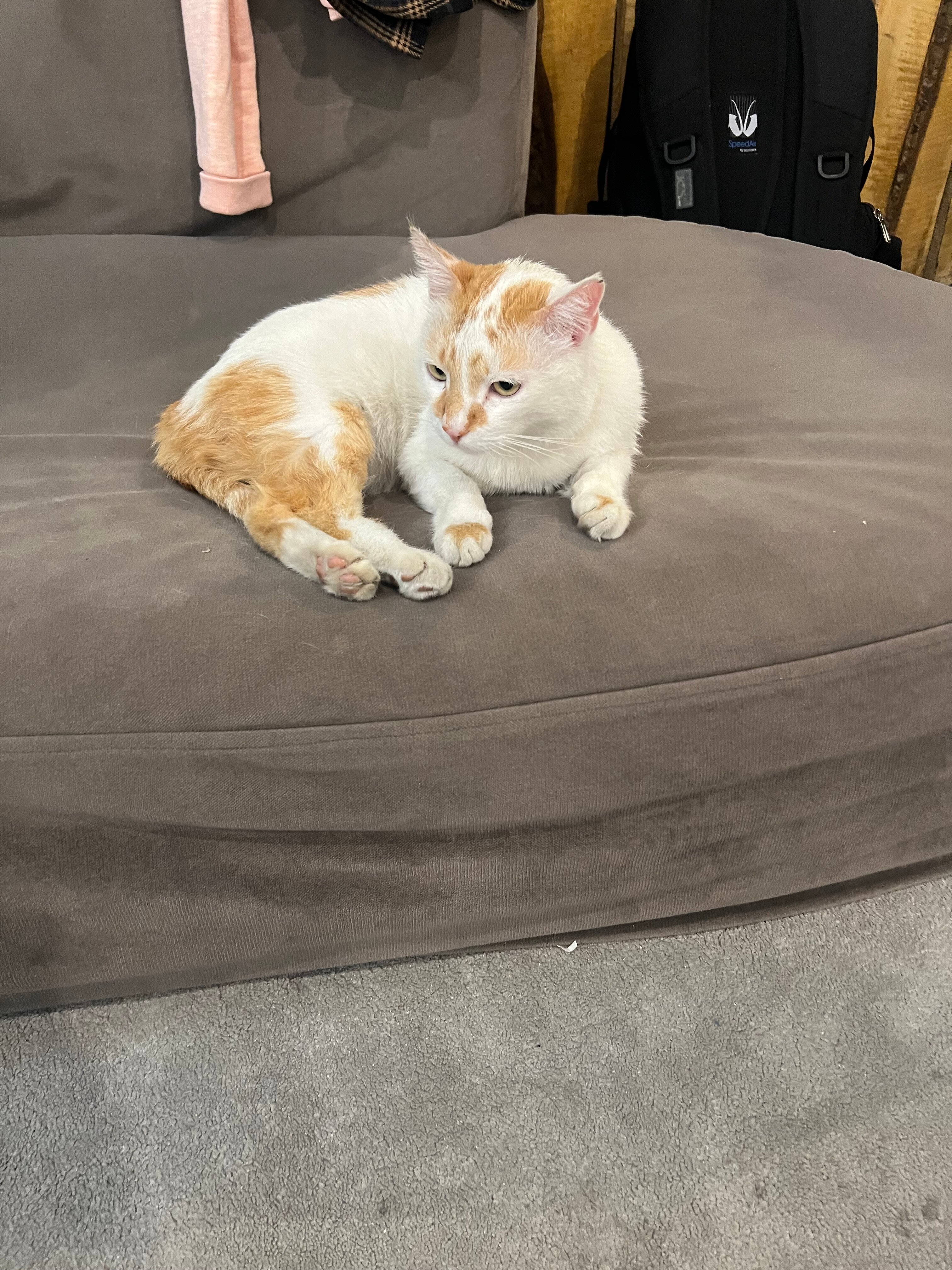 Фото Light Hostel