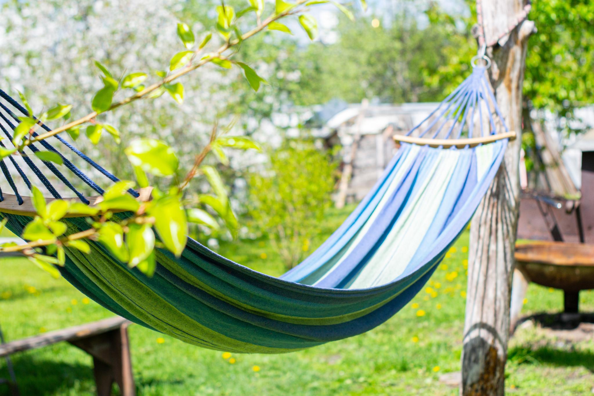 Фото Гостевой Дом Александровский