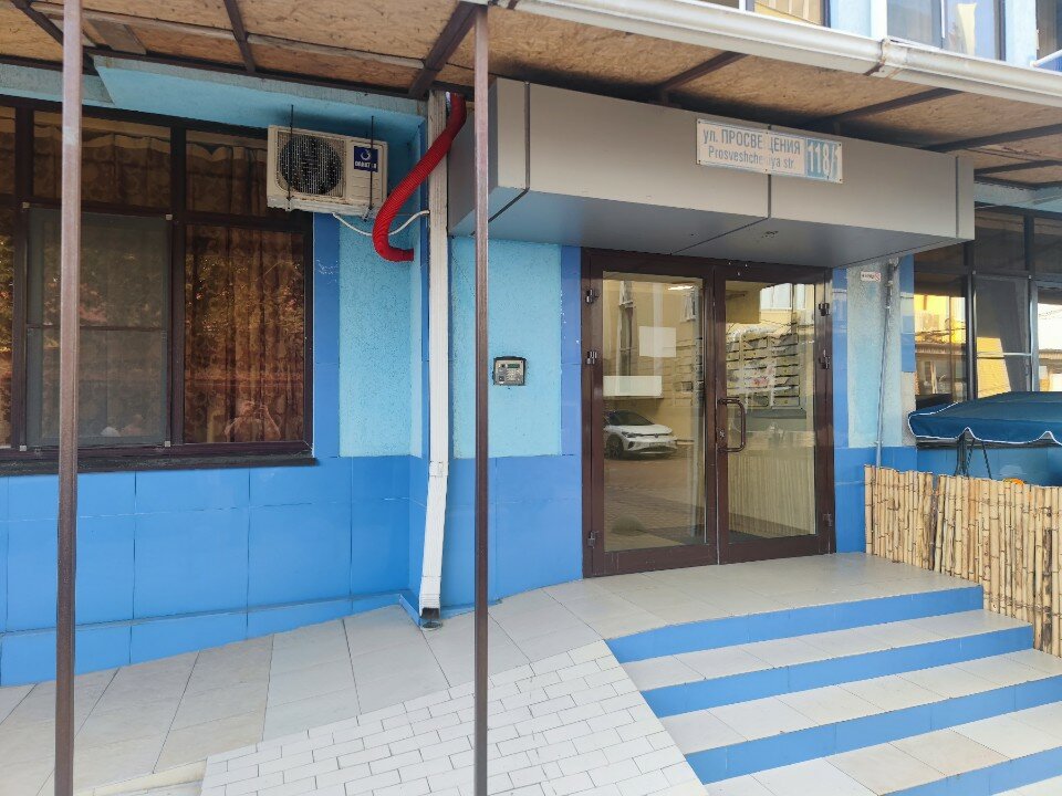 Фото Дельфин