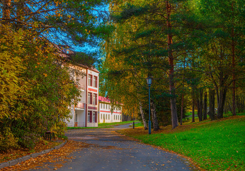 Санаторий Марциальные воды в Карелии