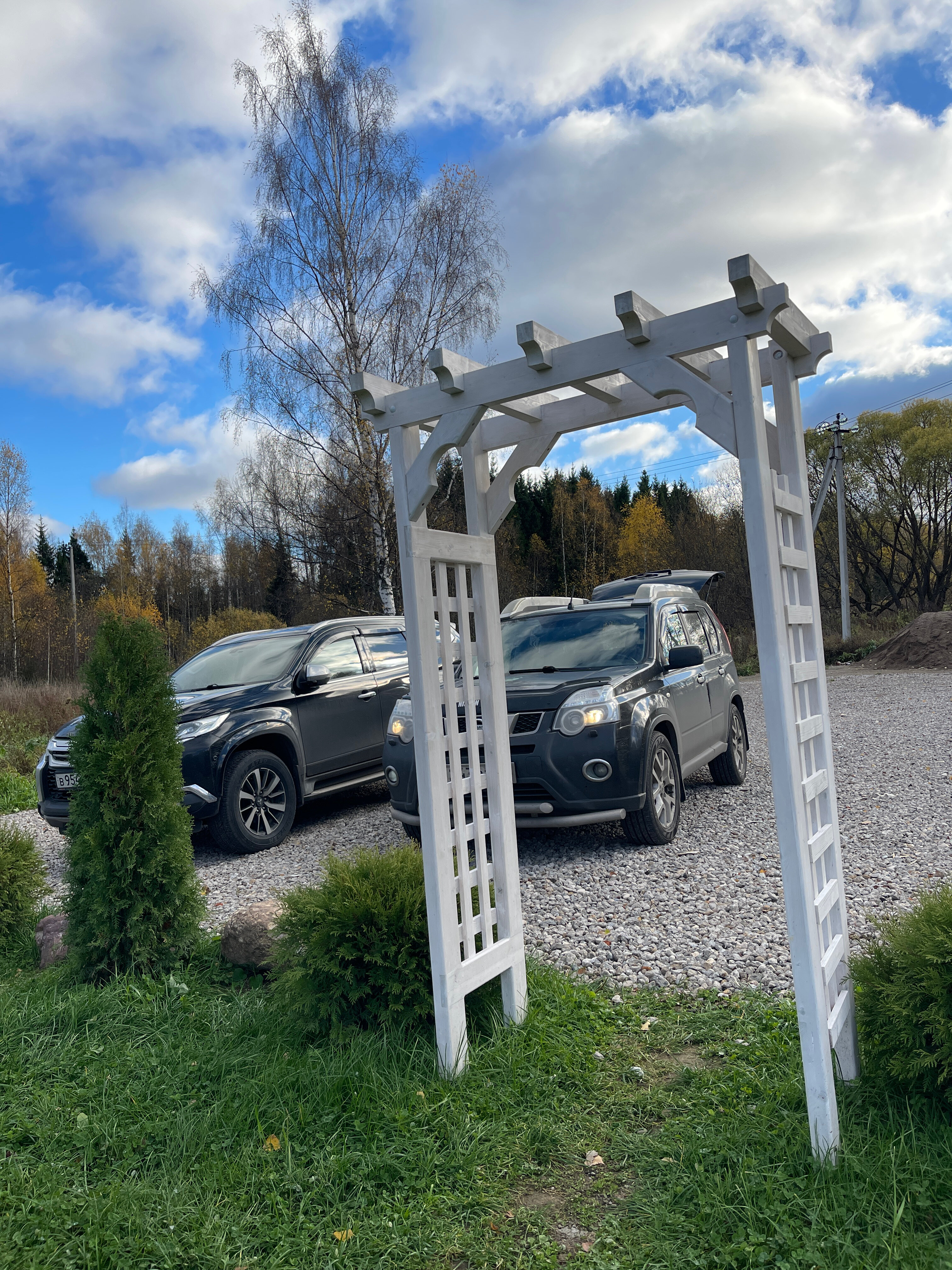 Фото Волшебный лес