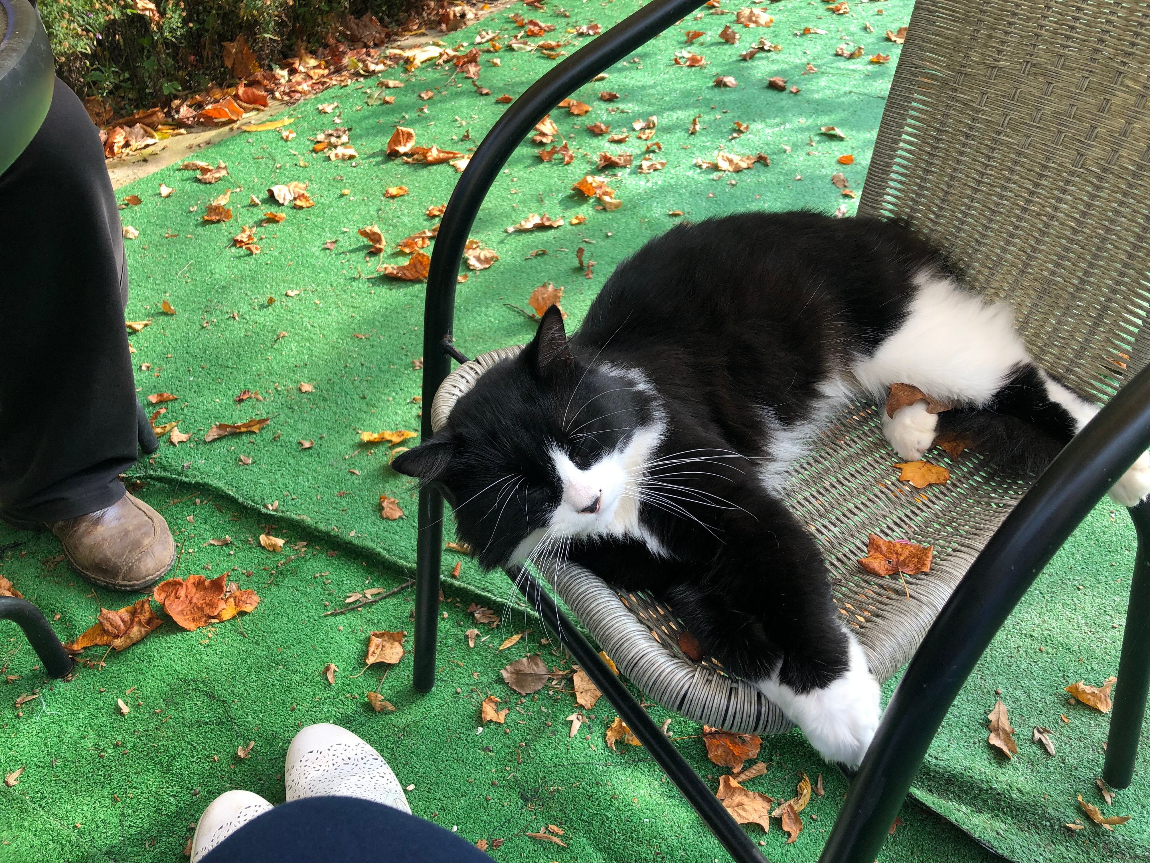 Фото Никель