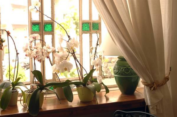 Фото Weekend a Napoli