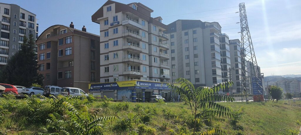 Web design studio ProDataNet, Bursa, photo