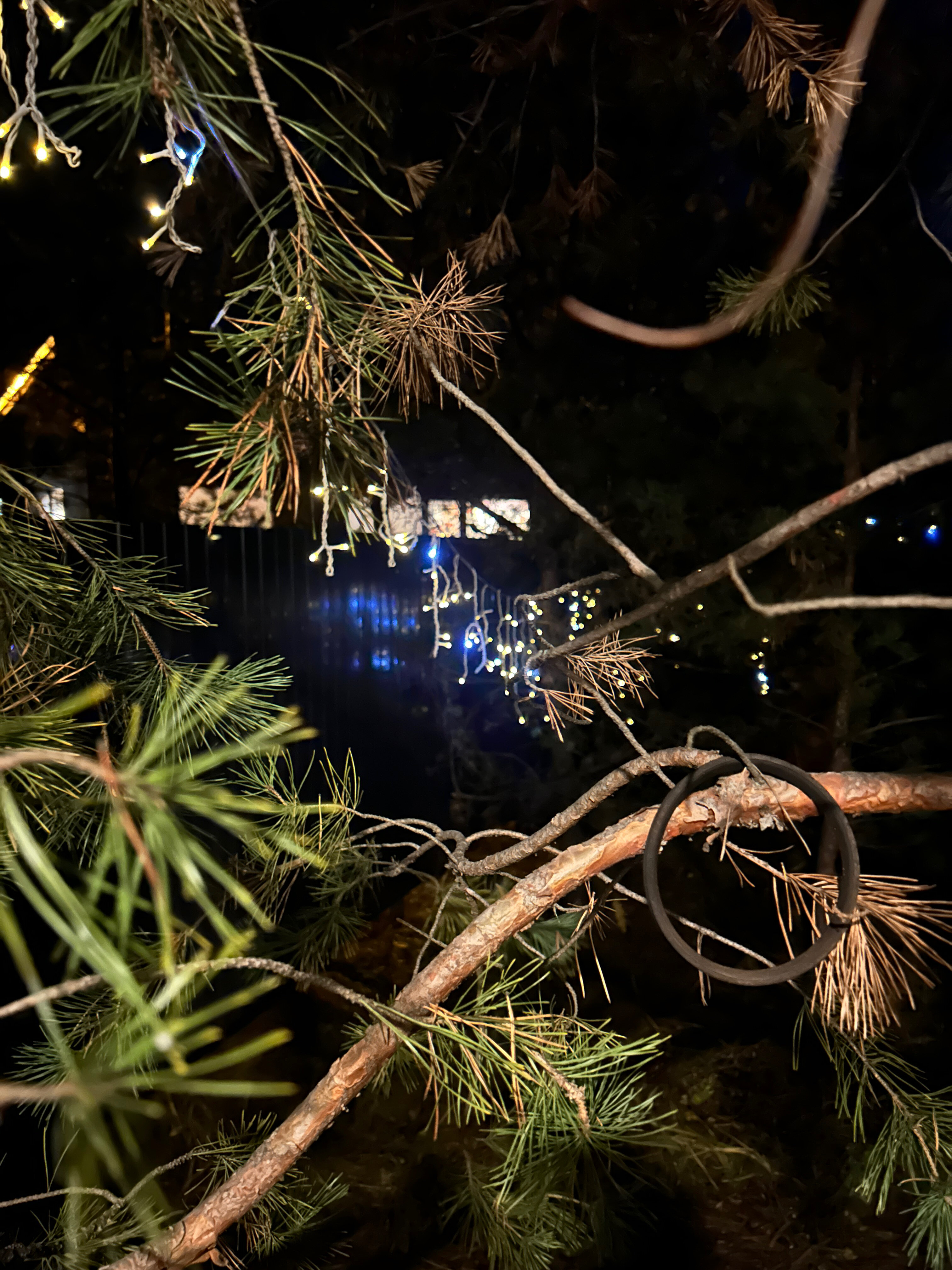 Фото Место счастья