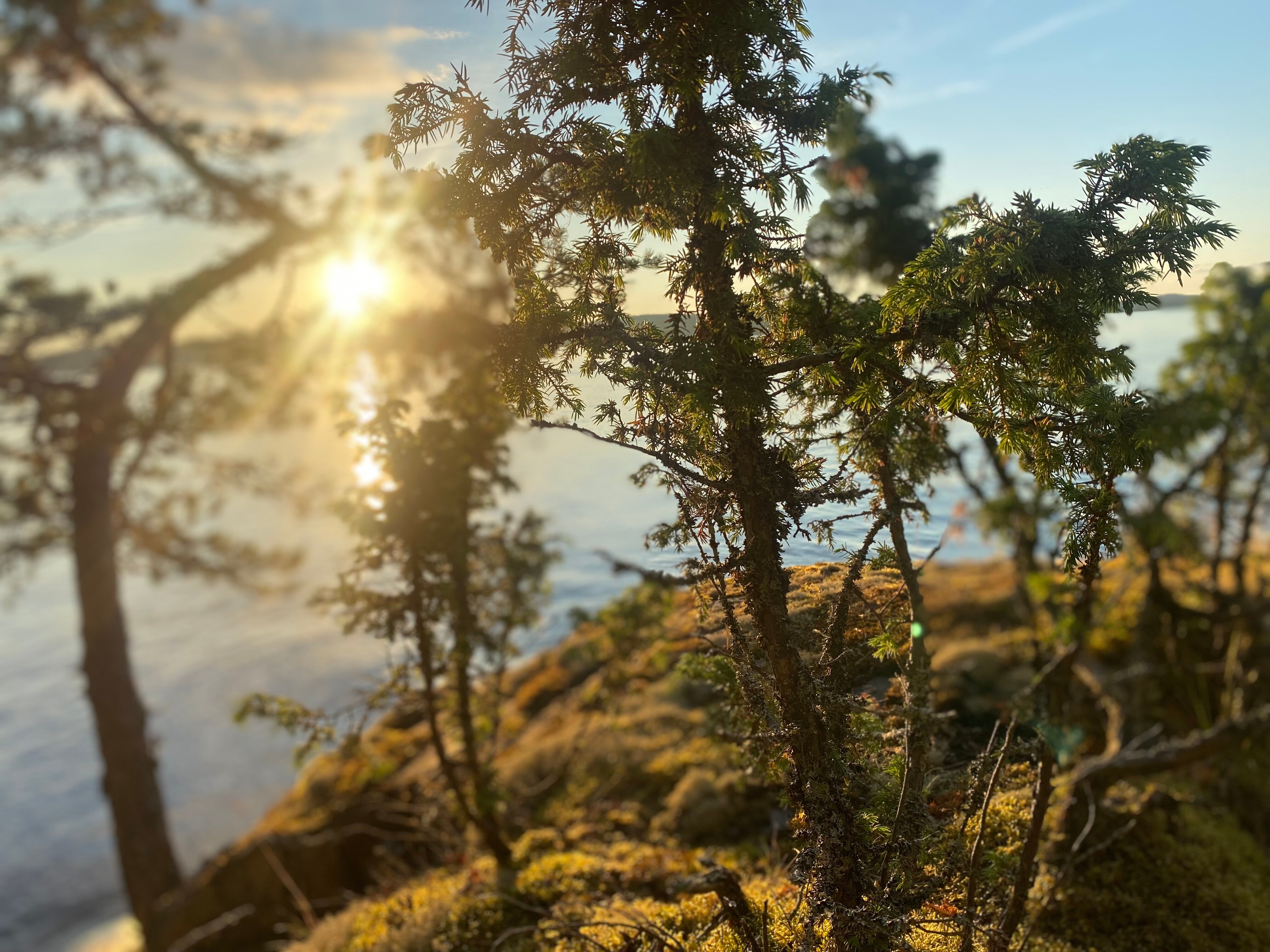 Фото Берлога люкс