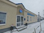 Zavgar 66 (Shefskaya Street, 2), tienda de repuestos y artículos para automóviles