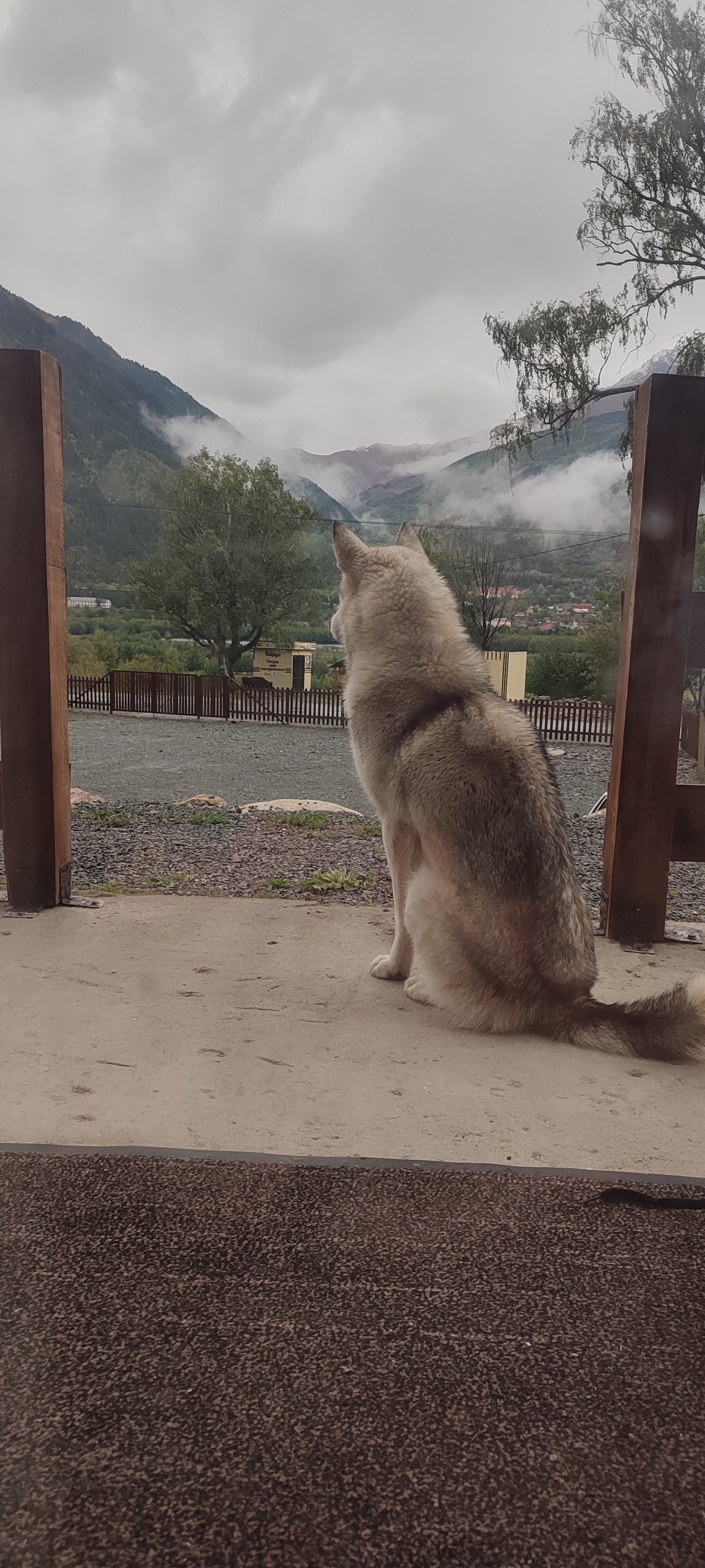 Фото Горная резиденция