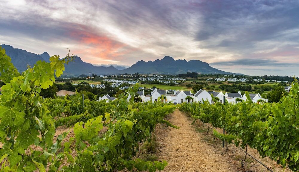 Фото De Zalze Lodge