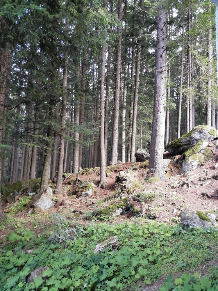 Фото Hotel Grádl