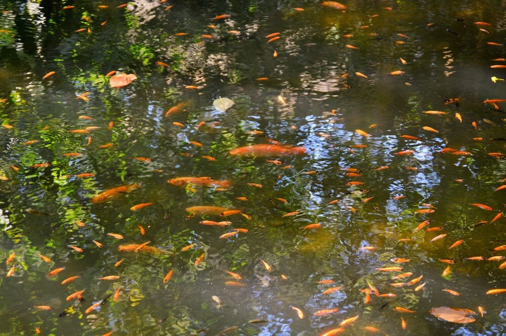 Фото Le Village d'Ennery
