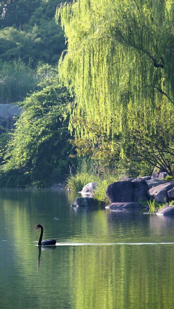 Фото Jinji Lake Grand Hotel