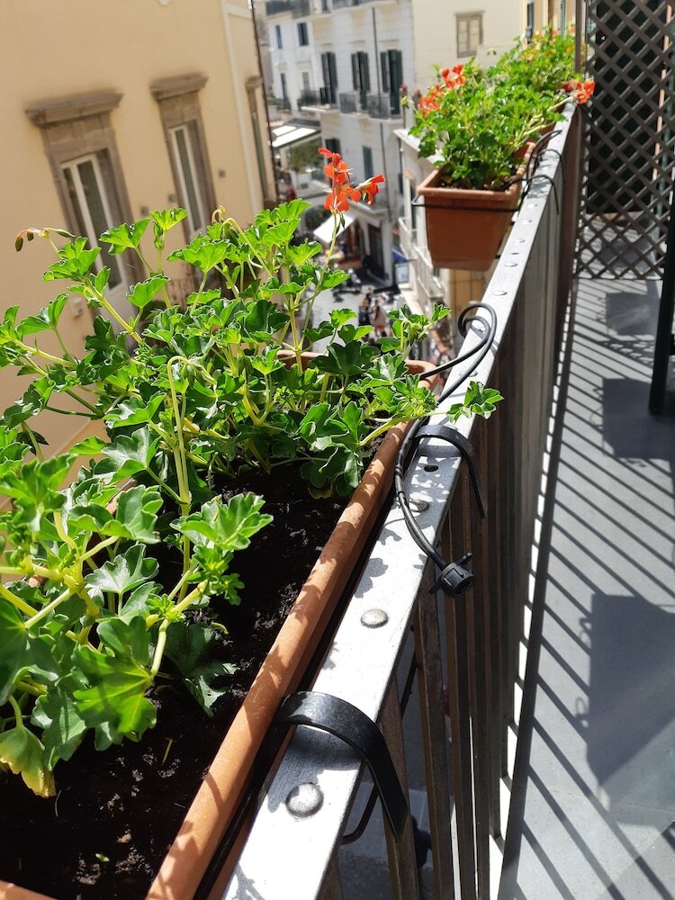 Фото Hotel Antica Repubblica