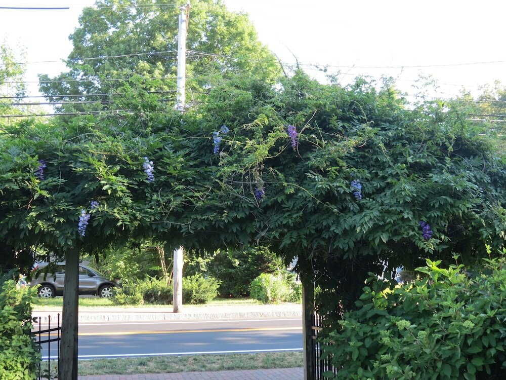 Фото The Silver Fountain Inn