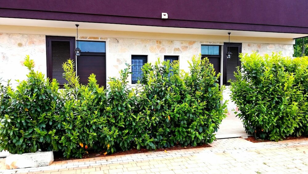 Фото Eremo del Dottó