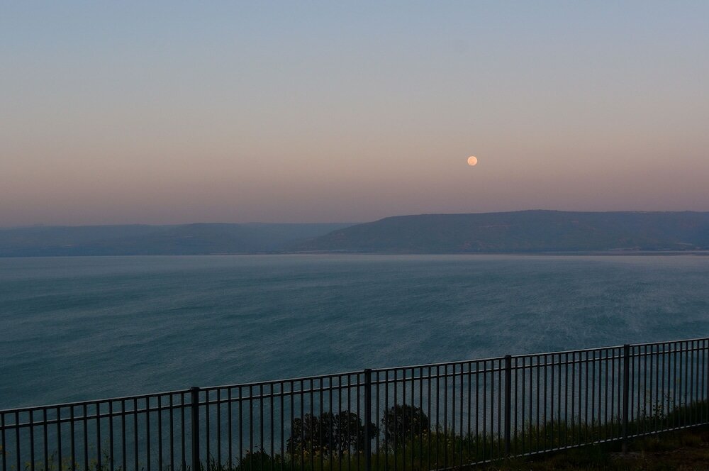 Фото Ariston Luxury Garden Apt W Private Pool