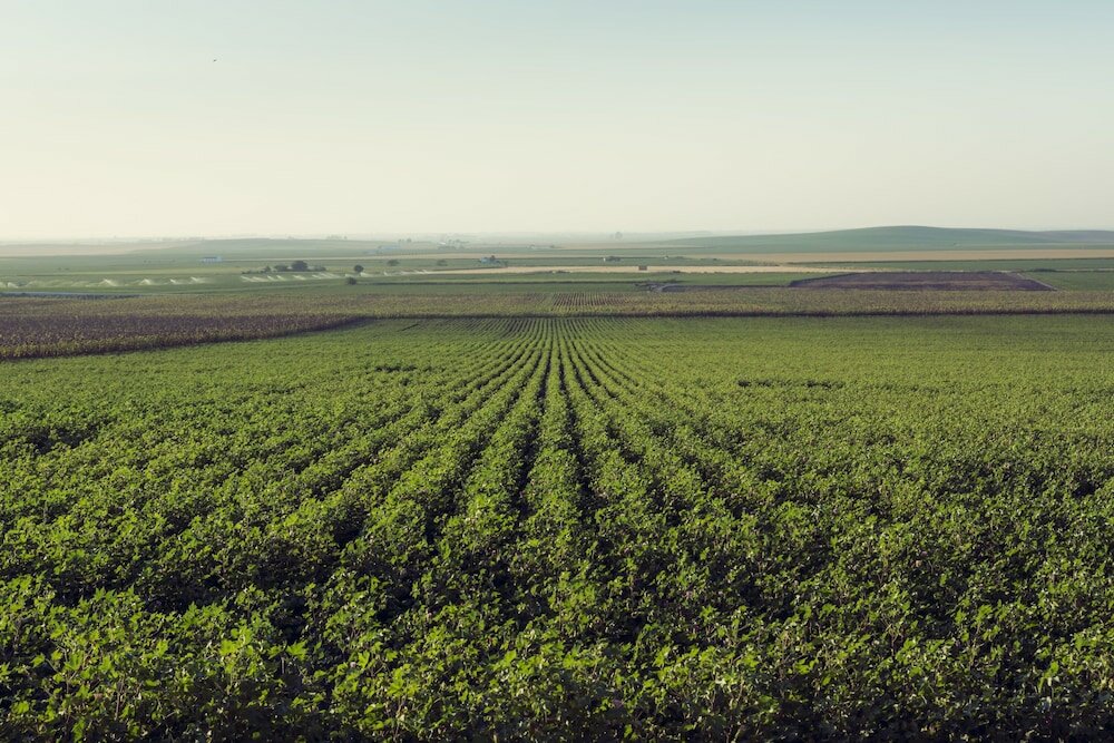 Фото Hacienda de San Rafael
