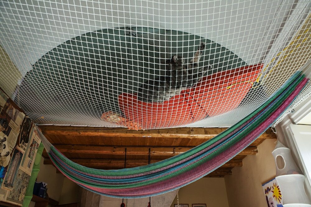 Фото B&b Bellini